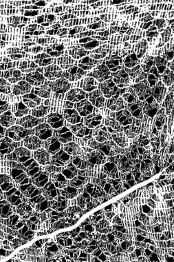 Soyut arkaplan. monokrom dokusu. resim siyah ve beyaz tonları içerir.