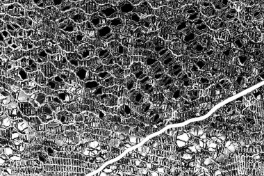 Soyut arkaplan. monokrom dokusu. resim siyah ve beyaz tonları içerir.