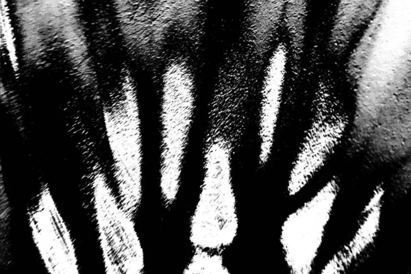 Fundo Abstrato Textura Monocromática Imagem Incluindo Efeito Tons Preto Branco — Fotografia de Stock