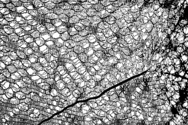 Soyut arkaplan. monokrom dokusu. resim siyah ve beyaz tonları içerir.