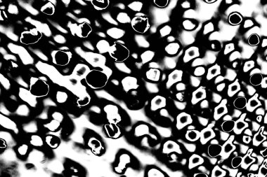 Soyut grunge arkaplanı. Monokrom dokusu. Siyah ve beyaz desenli arkaplan