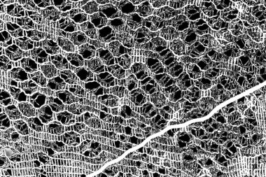 Soyut arkaplan. monokrom dokusu. resim siyah ve beyaz tonları içerir.