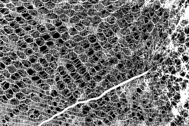 Soyut arkaplan. monokrom dokusu. resim siyah ve beyaz tonları içerir.