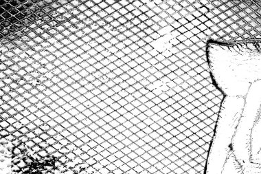 Soyut arkaplan. monokrom dokusu. resim siyah ve beyaz tonları içerir.