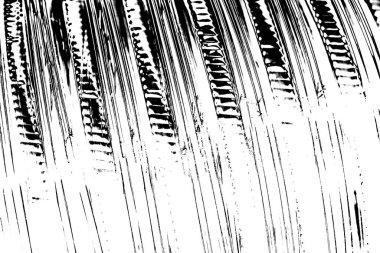 Soyut arkaplan. monokrom dokusu. resim siyah ve beyaz tonları içerir.