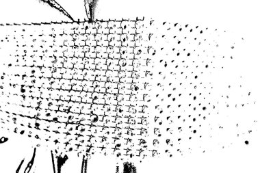 Soyut arkaplan. monokrom dokusu. resim siyah ve beyaz tonları içerir.