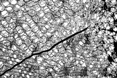 Soyut arkaplan. monokrom dokusu. resim siyah ve beyaz tonları içerir.