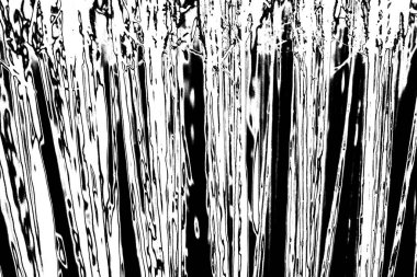 Soyut grunge arkaplanı. Monokrom dokusu. Siyah ve beyaz desenli arkaplan