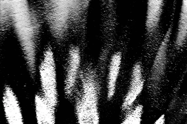 Abstract Background Monochrome Texture Image Including Effect Black White Tones — Stock Photo, Image