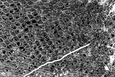 Soyut arkaplan. monokrom dokusu. resim siyah ve beyaz tonları içerir.