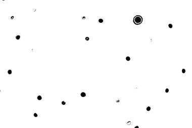 Soyut arkaplan. monokrom dokusu. resim siyah ve beyaz tonları içerir.