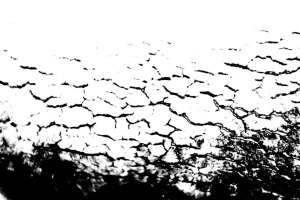 Abstract Background Monochrome Texture Image Including Effect Black White Tones — Stock Photo, Image