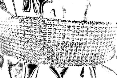 Soyut grunge arkaplanı. Monokrom dokusu. Siyah ve beyaz desenli arkaplan