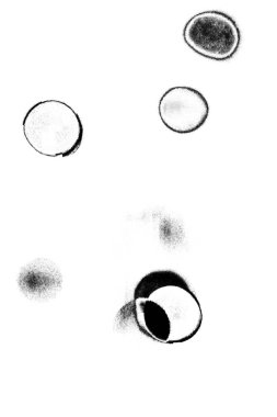 Soyut arkaplan. monokrom dokusu. resim siyah ve beyaz tonları içerir.