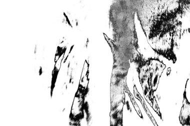 Soyut grunge arkaplanı. Monokrom dokusu. Siyah ve beyaz desenli arkaplan