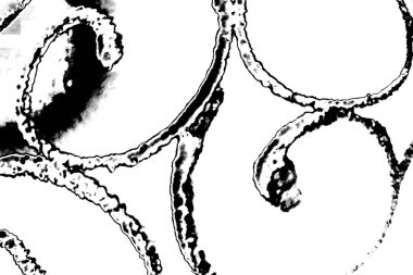 Soyut grunge arkaplanı. Monokrom dokusu. Siyah ve beyaz desenli arkaplan