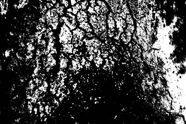 Fondo Grunge Abstracto Textura Monocromática Fondo Texturizado Blanco Negro — Foto de Stock