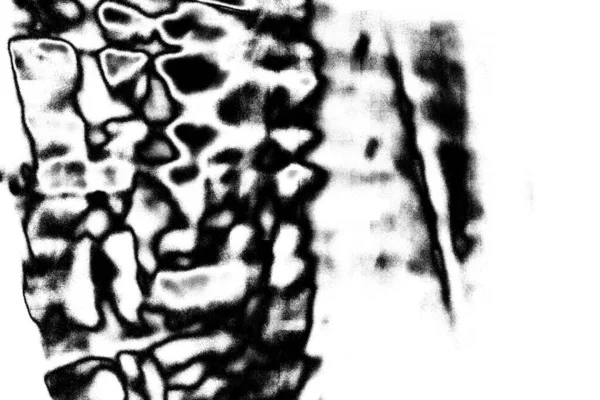 Fondo Grunge Abstracto Textura Monocromática Fondo Texturizado Blanco Negro —  Fotos de Stock