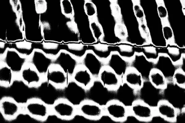 Абстрактный Фон Монохромная Текстура Изображение Включая Эффект Черно Белых Тонов — стоковое фото