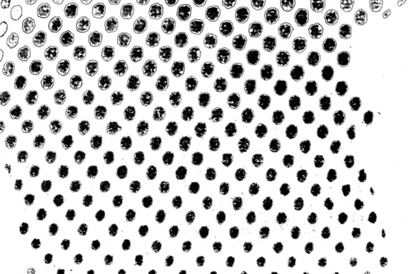 Abstract Background Monochrome Texture Image Including Effect Black White Tones — Stock Photo, Image