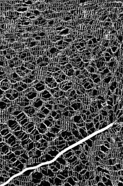 Soyut grunge arkaplanı. Monokrom dokusu. Siyah ve beyaz desenli arkaplan