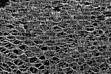 Soyut grunge arkaplanı. Monokrom dokusu. Siyah ve beyaz desenli arkaplan