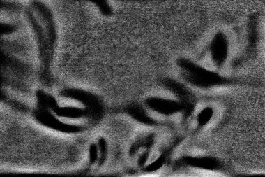 Soyut arkaplan. monokrom dokusu. resim siyah ve beyaz tonları içerir.