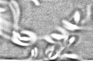 Soyut siyah beyaz arka plan. monokrom dokusu.