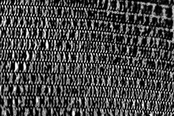 Fundo Abstrato Textura Monocromática Imagem Incluindo Efeito Tons Preto Branco — Fotografia de Stock