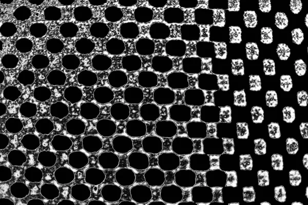 Abstrakcyjne Tło Faktura Monochromatyczna Obraz Tym Efekt Odcieni Czerni Bieli — Zdjęcie stockowe