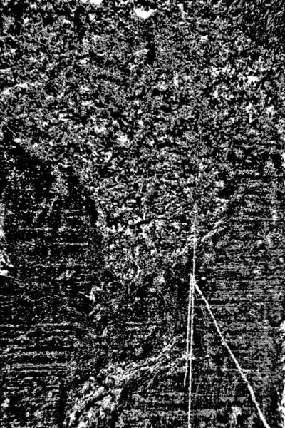 Sfondo Astratto Bianco Nero Texture Monocromatica — Foto Stock