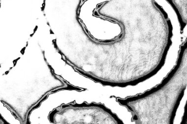 Soyut arkaplan. monokrom dokusu. resim siyah ve beyaz tonları içerir.