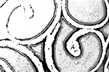Soyut arkaplan. monokrom dokusu. resim siyah ve beyaz tonları içerir.