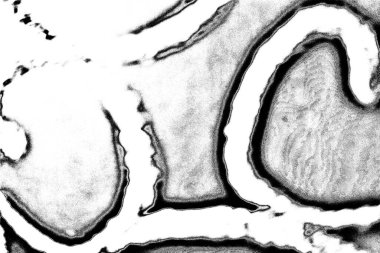 Soyut arkaplan. monokrom dokusu. resim siyah ve beyaz tonları içerir.