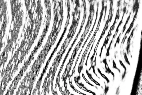 Fondo Abstracto Textura Monocromática Imagen Incluyendo Efecto Los Tonos Blanco — Foto de Stock