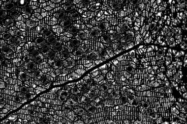 Soyut siyah beyaz arka plan. monokrom dokusu.