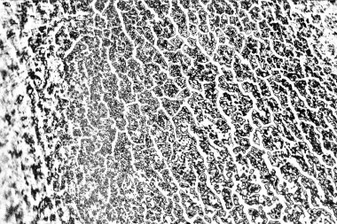 Soyut siyah beyaz arka plan. monokrom dokusu.