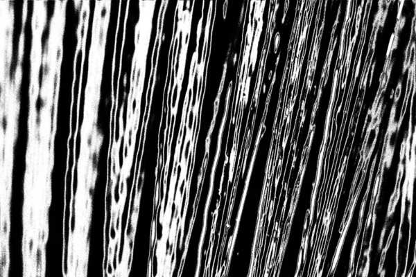 stock image Abstract black and white background. Monochrome texture.