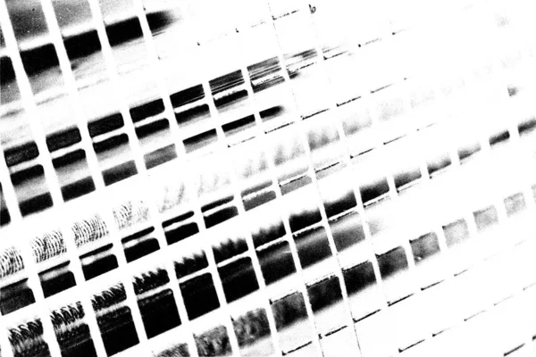 Fond Abstrait Texture Monochrome Image Incluant Effet Les Tons Noir — Photo