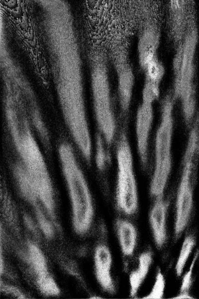 Abstracte Zwart Wit Achtergrond Monochrome Textuur — Stockfoto