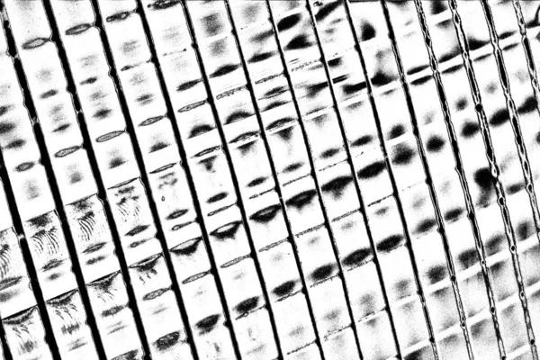 Soyut Siyah Beyaz Arka Plan Monokrom Dokusu — Stok fotoğraf