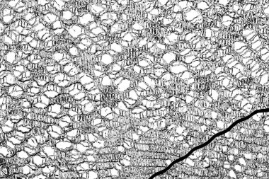 Soyut arkaplan. monokrom dokusu. resim siyah ve beyaz tonları içerir.