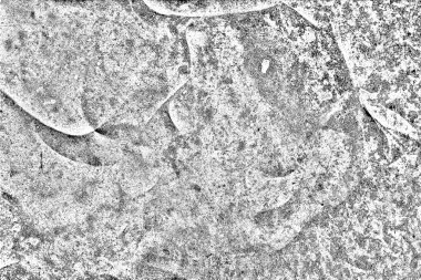 Soyut siyah beyaz arka plan. monokrom dokusu.