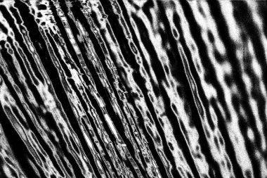 Soyut siyah beyaz arka plan. monokrom dokusu.