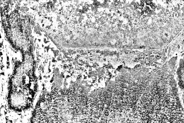 Sfondo Astratto Bianco Nero Texture Monocromatica — Foto Stock