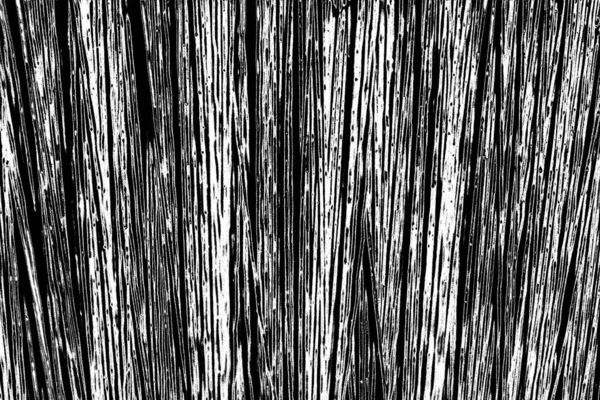 Abstract Black White Background Monochrome Texture — Stock Photo, Image