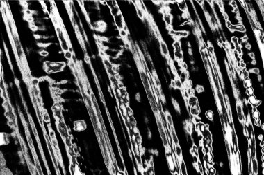 Soyut siyah beyaz arka plan. monokrom dokusu.