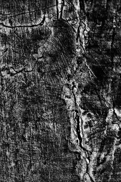 Sfondo Astratto Bianco Nero Texture Monocromatica — Foto Stock