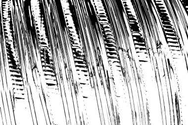 Basit siyah beyaz desenli desen, soyut arkaplan, kopyalama alanı