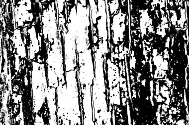 Soyut grunge arkaplanı. Monokrom dokusu. Siyah ve beyaz desenli arkaplan